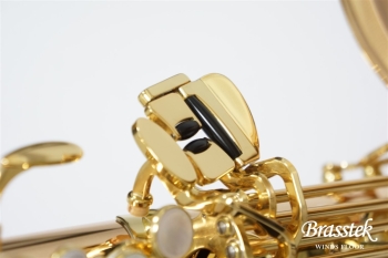 Tenor Saxophone  T-WO2