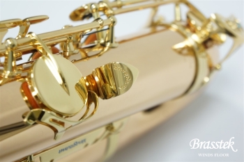 Tenor Saxophone  T-WO2