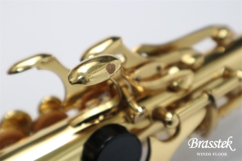 CurvedSopranoSax eldon