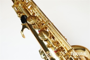 Alto Saxophone YAS-875EX