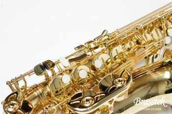 Alto Saxophone Standard