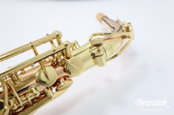 Alto Saxophone  A-WO2