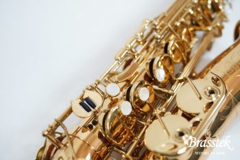 Alto Saxophone  Anchert ”Sunny”