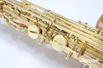 Alto Saxophone A-WO20 