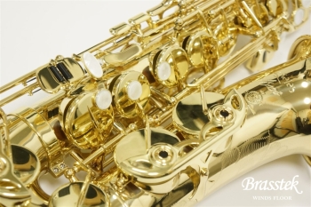Alto Saxophone Axos