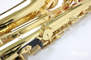 Alto Saxophone YAS-280