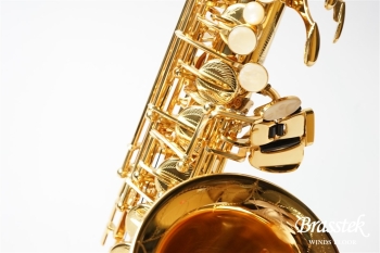 Alto Saxophone BC8401