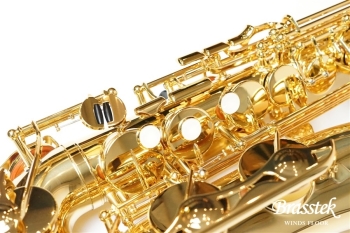 Alto Saxophone YAS-280