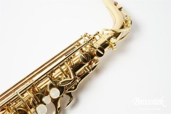 Alto Saxophone Standard