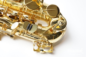 Alto Saxophone Standard