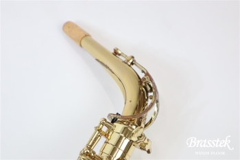 Alto Saxophone  SA80 SERIEⅡ  WE/GL