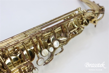 Alto Saxophone  SA80 SERIEⅡ  WE/GL