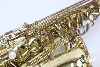 Alto Saxophone  SA80 SERIEⅡ  WE/GL