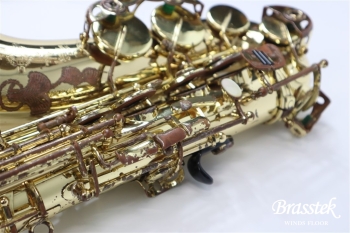 Alto Saxophone  SA80 SERIEⅡ  WE/GL