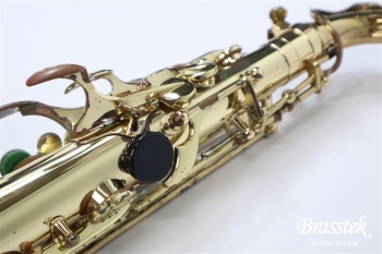 Alto Saxophone  SA80 SERIEⅡ  WE/GL