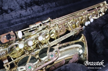 Alto Saxophone  SA80 SERIEⅡ  WE/GL