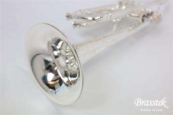 B♭Trumpet TR400SP 