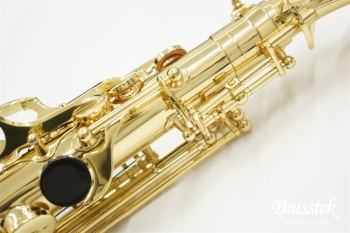 Alto Saxophone  BC8101