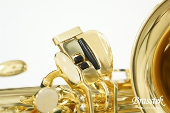 Alto Saxophone  BC8101