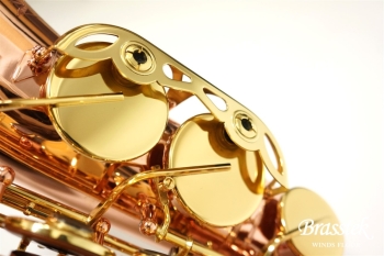 Alto Saxophone Senzo BC2525-7B-0J