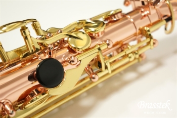 Alto Saxophone Senzo BC2525-7B-0J