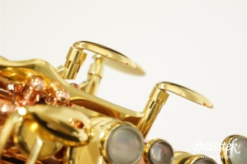 Alto Saxophone Senzo BC2525-7B-0J