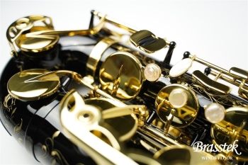 Tenor Saxophone SERIE Ⅲ