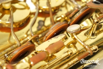 Alto Saxophone A-800 ELIMONA 