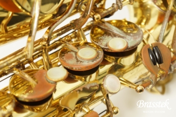 Alto Saxophone A-800 ELIMONA 