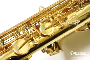 Alto Saxophone A-800 ELIMONA 