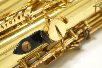 Alto Saxophone A-800 ELIMONA 