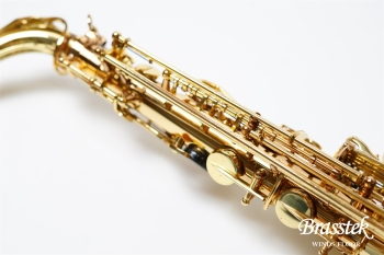 Alto Saxophone SA80 SERIEⅡ