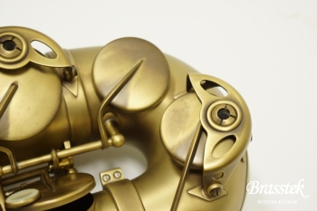 Alto Saxophone Reference Antique Brushed Satin