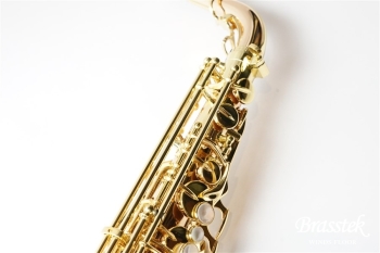 Alto Saxophone A-WO20【お取り寄せ商品】
