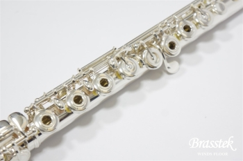 Flute DS-RCE offset