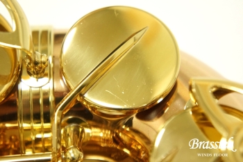 Alto Saxophone A-WO20