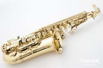 Alto Saxophone SA80 SERIEⅡ