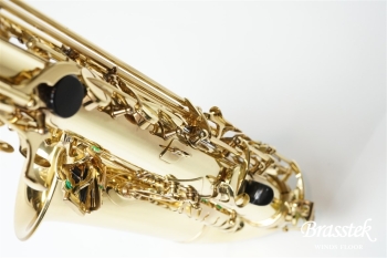 Alto Saxophone SA80 SERIEⅡ