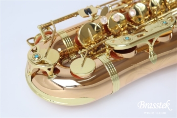 Tenor Saxophone T-WO2