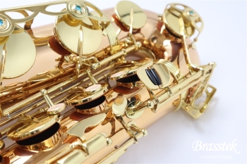 Tenor Saxophone T-WO2