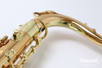 Tenor Saxophone T-WO2