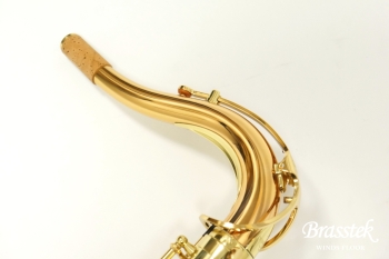 Tenor Saxophone  T-WO2