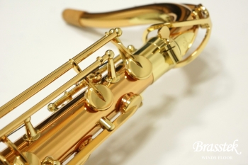 Tenor Saxophone  T-WO2