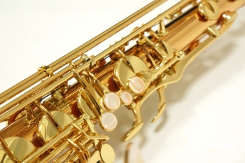 Tenor Saxophone  T-WO2