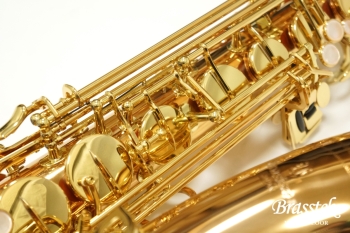 Tenor Saxophone  T-WO2