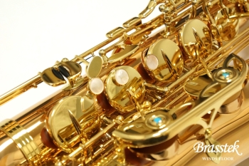 Tenor Saxophone  T-WO2