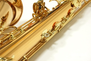 Tenor Saxophone  T-WO2