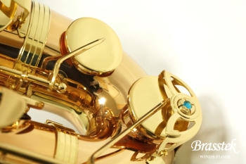 Tenor Saxophone  T-WO2