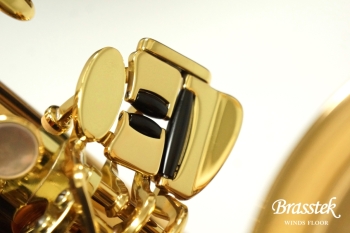 Tenor Saxophone  T-WO2