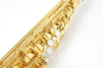 Alto Saxophone  ”SUPREME_シュプレーム”Brushed Satin Gold【お取り寄せ商品】